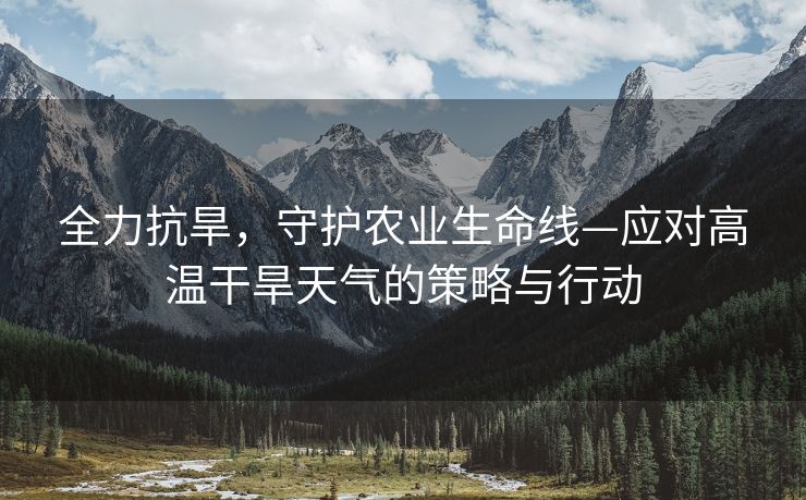 全力抗旱，守护农业生命线—应对高温干旱天气的策略与行动