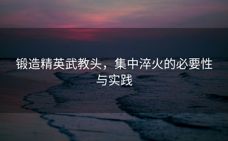 锻造精英武教头，集中淬火的必要性与实践