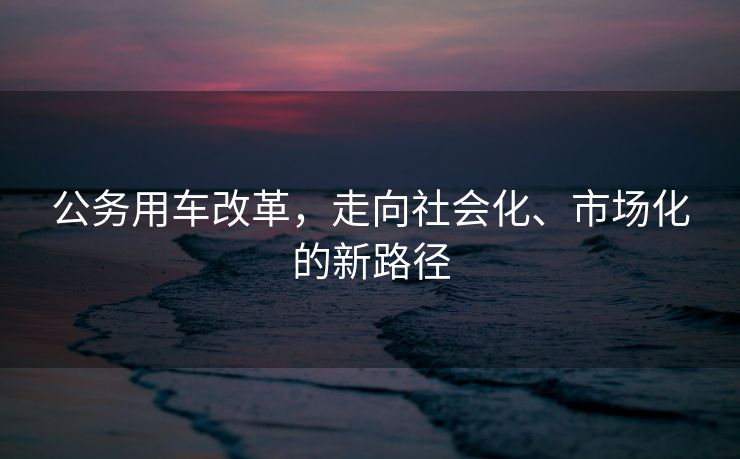 公务用车改革，走向社会化、市场化的新路径