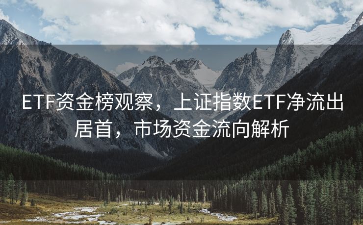 ETF资金榜观察，上证指数ETF净流出居首，市场资金流向解析