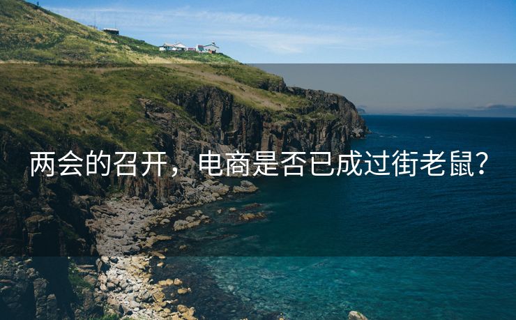 两会的召开，电商是否已成过街老鼠？