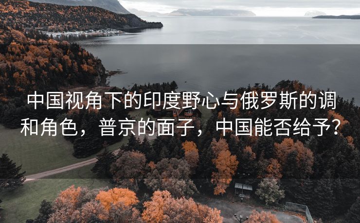 中国视角下的印度野心与俄罗斯的调和角色，普京的面子，中国能否给予？