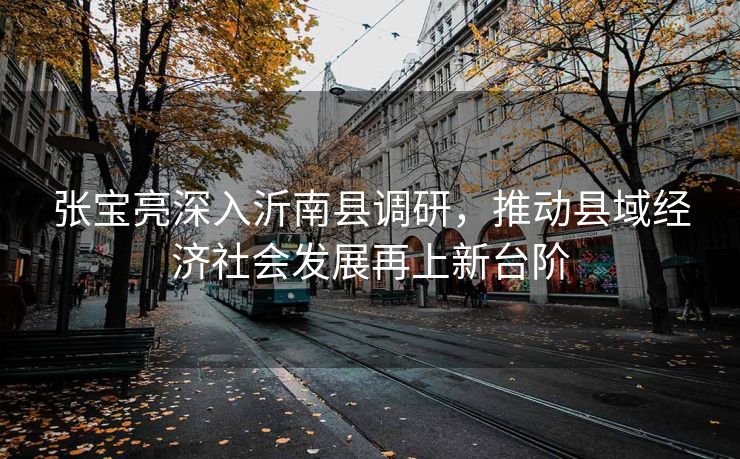 张宝亮深入沂南县调研，推动县域经济社会发展再上新台阶