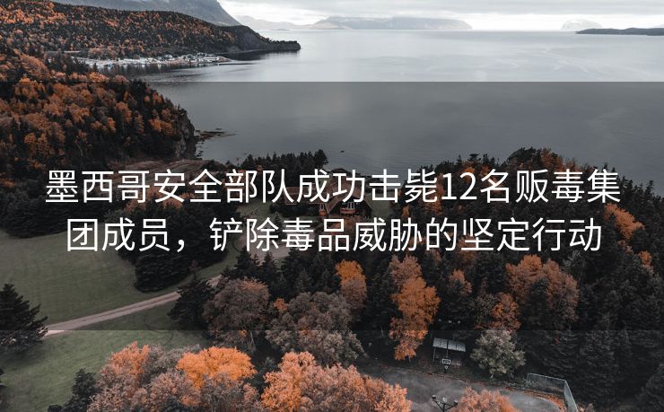 墨西哥安全部队成功击毙12名贩毒集团成员，铲除毒品威胁的坚定行动