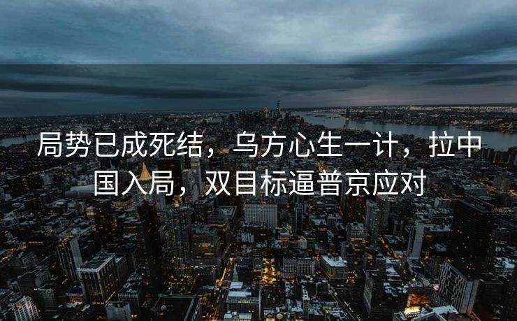 局势已成死结，乌方心生一计，拉中国入局，双目标逼普京应对