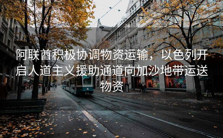 阿联酋积极协调物资运输，以色列开启人道主义援助通道向加沙地带运送物资