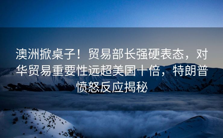 澳洲掀桌子！贸易部长强硬表态，对华贸易重要性远超美国十倍，特朗普愤怒反应揭秘