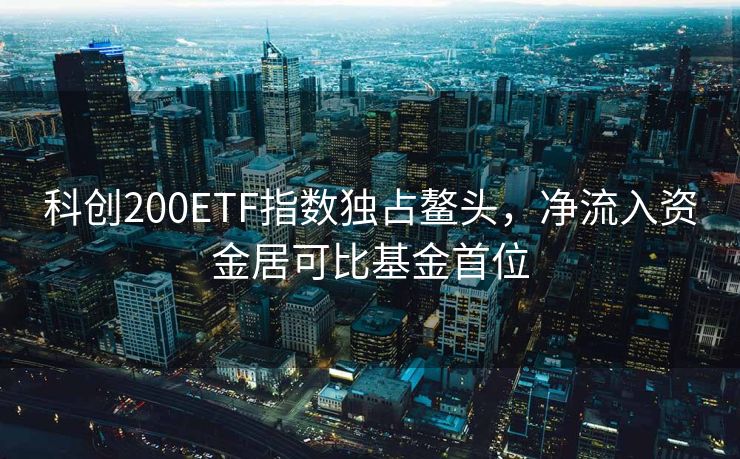 科创200ETF指数独占鳌头，净流入资金居可比基金首位