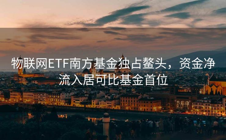 物联网ETF南方基金独占鳌头，资金净流入居可比基金首位
