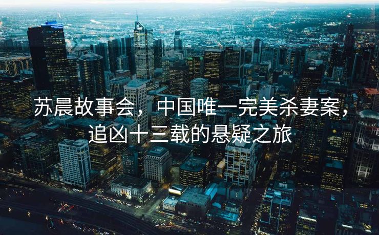 苏晨故事会，中国唯一完美杀妻案，追凶十三载的悬疑之旅