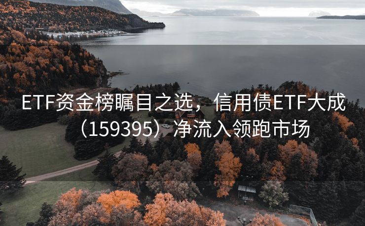 ETF资金榜瞩目之选，信用债ETF大成（159395）净流入领跑市场