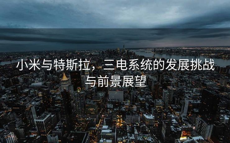 小米与特斯拉，三电系统的发展挑战与前景展望