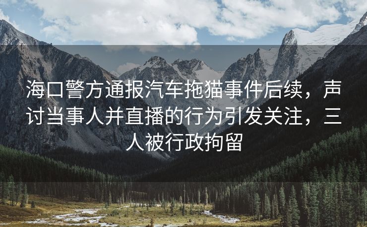 海口警方通报汽车拖猫事件后续，声讨当事人并直播的行为引发关注，三人被行政拘留