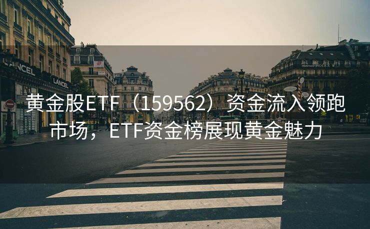 黄金股ETF（159562）资金流入领跑市场，ETF资金榜展现黄金魅力