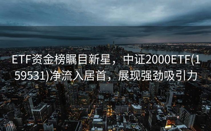 ETF资金榜瞩目新星，中证2000ETF(159531)净流入居首，展现强劲吸引力