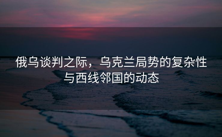 俄乌谈判之际，乌克兰局势的复杂性与西线邻国的动态