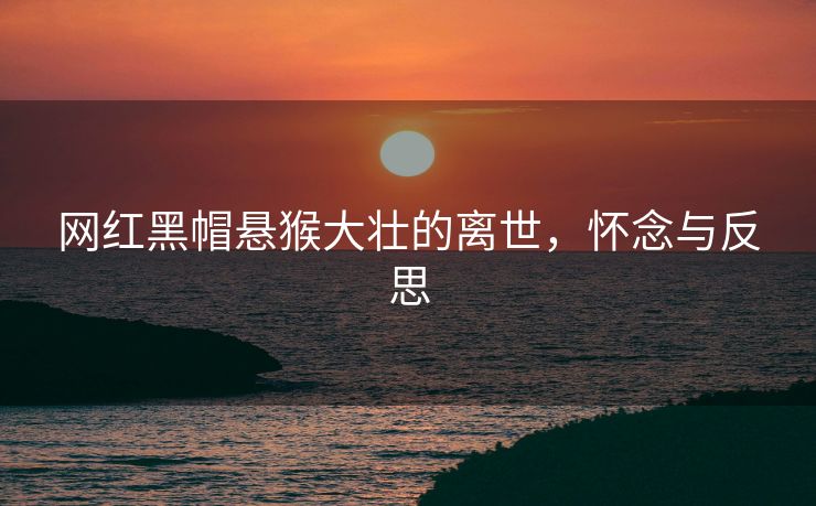 网红黑帽悬猴大壮的离世，怀念与反思