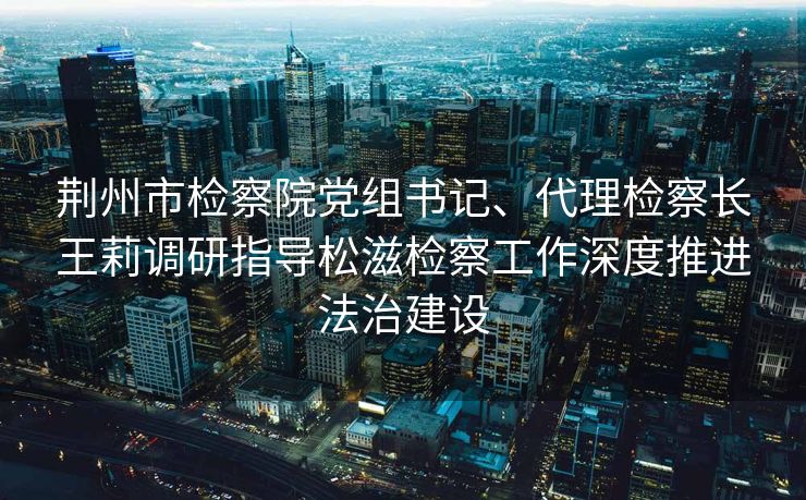 荆州市检察院党组书记、代理检察长王莉调研指导松滋检察工作深度推进法治建设