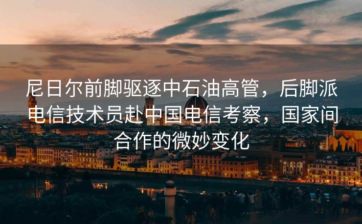 尼日尔前脚驱逐中石油高管，后脚派电信技术员赴中国电信考察，国家间合作的微妙变化