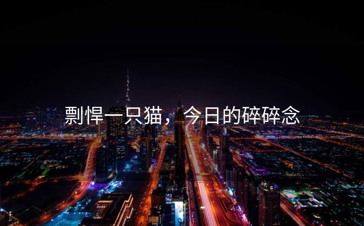 剽悍一只猫，今日的碎碎念