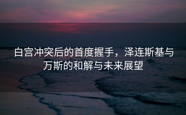 白宫冲突后的首度握手，泽连斯基与万斯的和解与未来展望